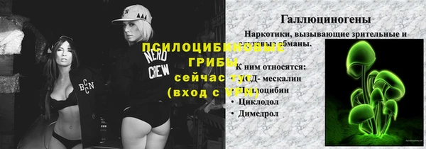 спиды Арсеньев