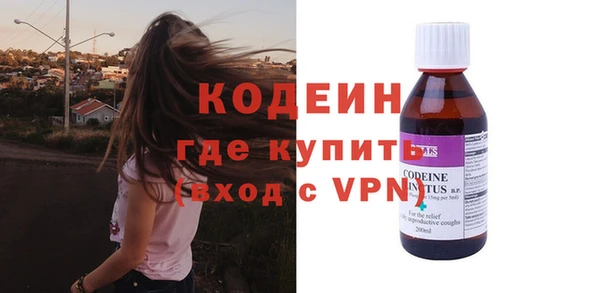 прущие грибы Балабаново